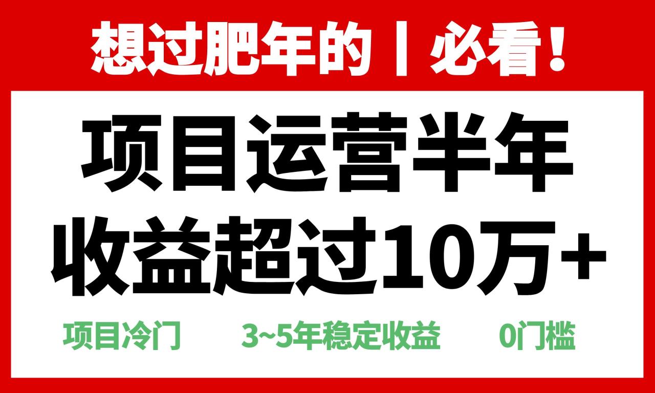 年前过肥年的必看的超冷门项目，半年收益超过10万+