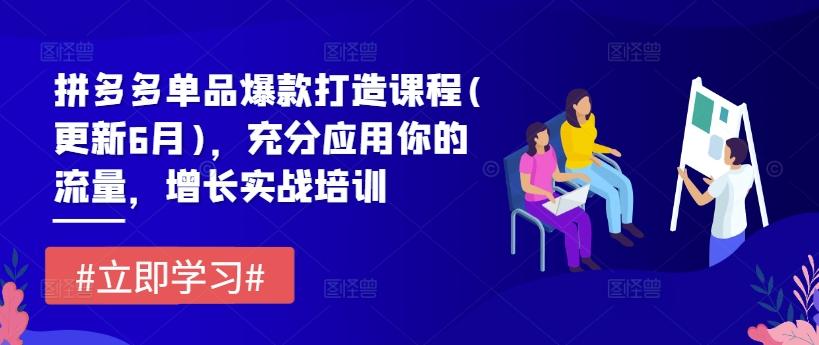 拼多多单品爆款打造课程(更新6月)，充分应用你的流量，增长实战培训-千创分享