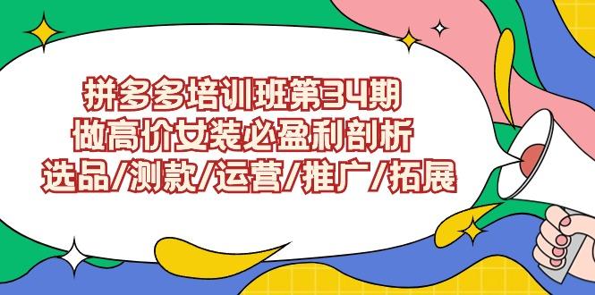 (9333期)拼多多培训班第34期：做高价女装必盈利剖析  选品/测款/运营/推广/拓展-千创分享