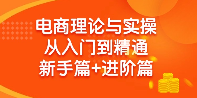 (9576期)电商理论与实操从入门到精通 新手篇+进阶篇-千创分享