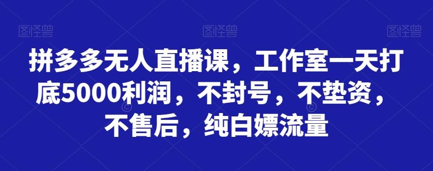 拼多多无人直播课，工作室一天打底5000利润，不封号，不垫资，不售后，纯白嫖流量-千创分享