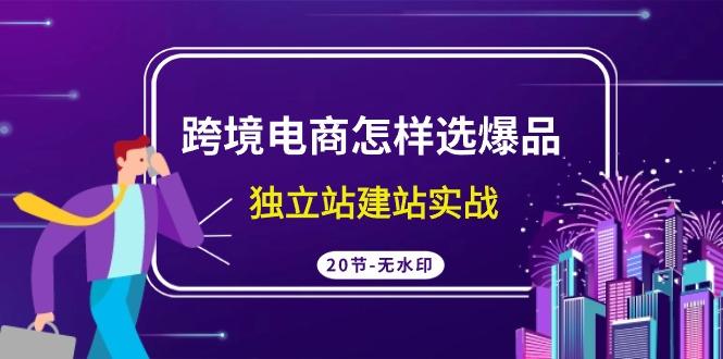 (9369期)跨境电商怎样选爆品，独立站建站实战(20节高清无水印课)-千创分享