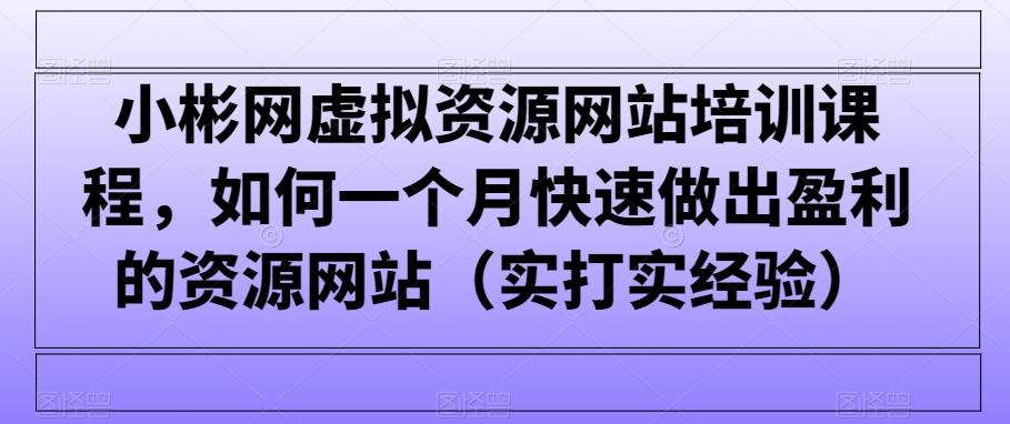 小彬网虚拟资源网站培训课程，如何一个月快速做出盈利的资源网站(实打实经验)-千创分享