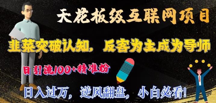 天花板级互联网项目，韭菜突破认知，反客为主成为导师，日引流100+精准粉-千创分享