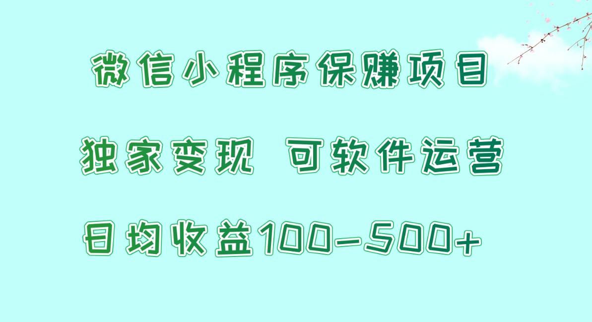 微信小程序保赚项目，日均收益100~500+，独家变现，可软件运营-千创分享