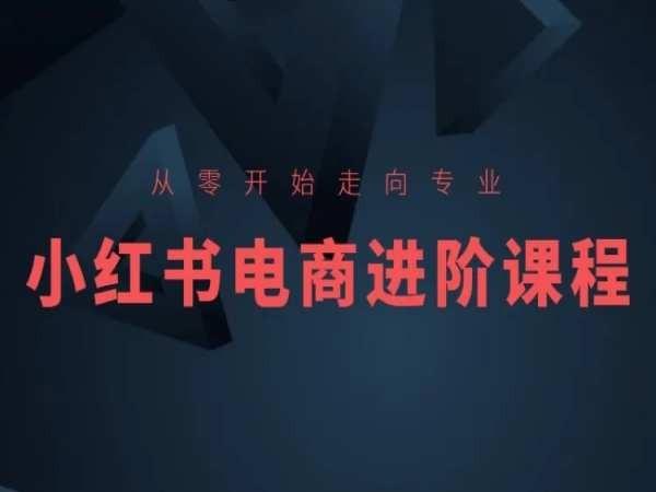 从零开始走向专业，小红书电商进阶课程-千创分享