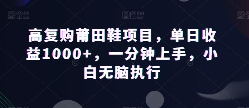 高复购莆田鞋项目，单日收益1000+，一分钟上手，小白无脑执行-千创分享