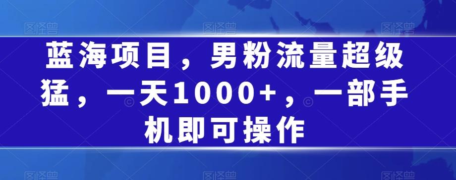 蓝海项目，男粉流量超级猛，一天1000+，一部手机即可操作【揭秘】-千创分享