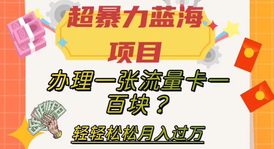 超暴力蓝海项目，办理一张流量卡一百块？轻轻松松月入过万，保姆级教程【揭秘】-千创分享