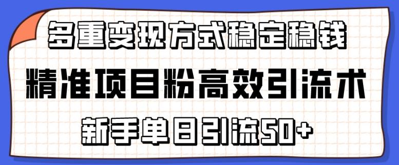 精准项目粉高效引流术，新手单日引流50+，多重变现方式稳定赚钱【揭秘】-千创分享