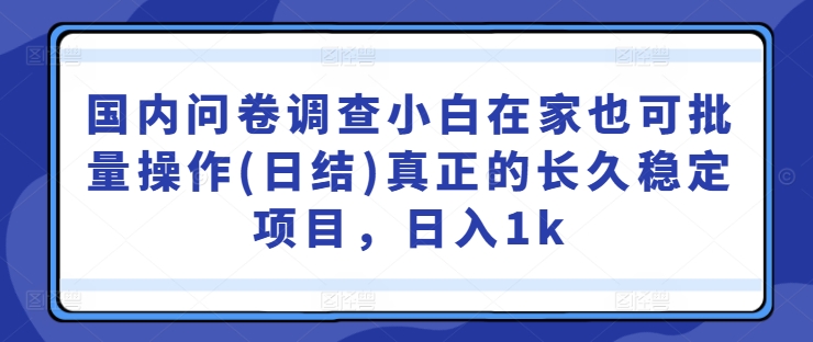 国内问卷调查小白在家也可批量操作(日结)真正的长久稳定项目，日入1k【揭秘】-千创分享