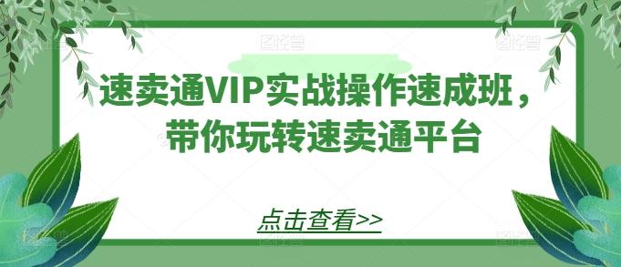 速卖通VIP实战操作速成班，带你玩转速卖通平台-千创分享