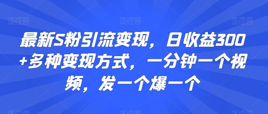 最新S粉引流变现，日收益300+多种变现方式，一分钟一个视频，发一个爆一个【揭秘】-千创分享