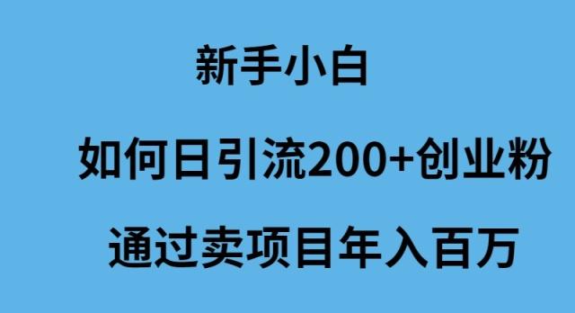 (9668期)新手小白如何日引流200+创业粉通过卖项目年入百万-千创分享