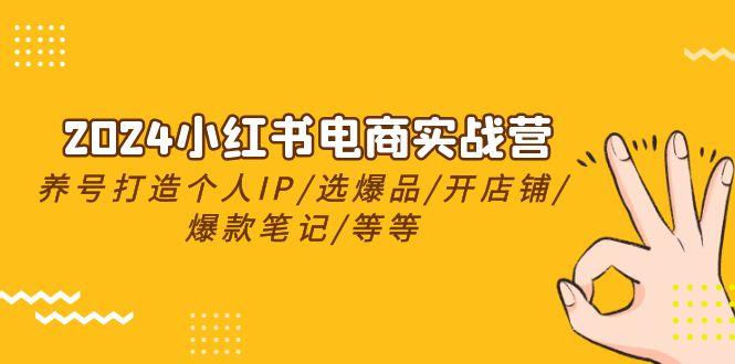 2024小红书电商实战营，养号打造IP/选爆品/开店铺/爆款笔记/等等(24节)-千创分享