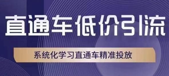 直通车低价引流课，系统化学习直通车精准投放-千创分享