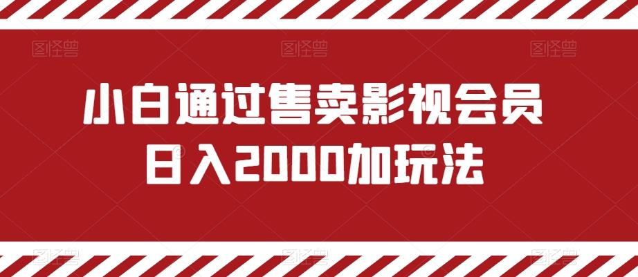 小白通过售卖影视会员日入2000加玩法-千创分享