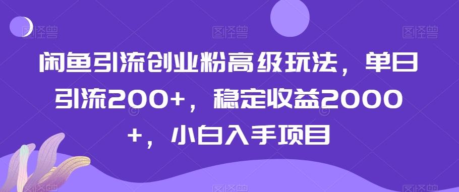 闲鱼引流创业粉高级玩法，单日引流200+，稳定收益2000+，小白入手项目-千创分享