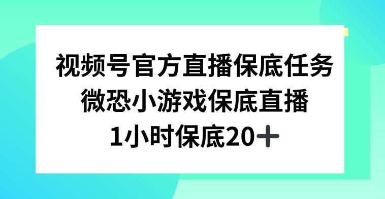 视频号直播任务，微恐小游戏，1小时20+【揭秘】-千创分享