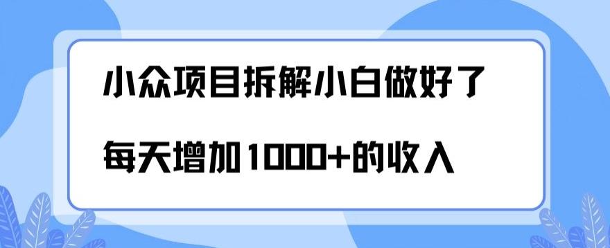 小众项目拆解，小白做好了每天可增加1000多的收入-千创分享