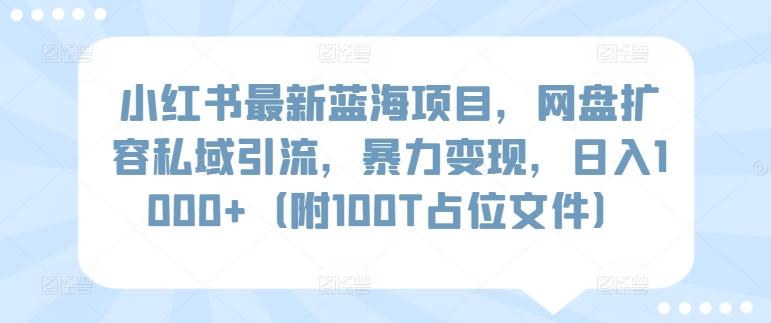 小红书最新蓝海项目，网盘扩容私域引流，暴力变现，日入1000+(附100T占位文件)【揭秘】-千创分享