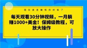 每天观看30分钟视频，一月躺赚1000+美金！保姆级教程，可放大操作【揭秘】-千创分享