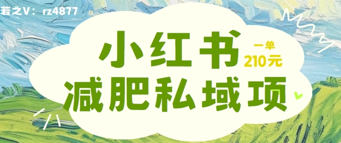 小红书减肥粉，私域变现项目，一单就达210元，小白也能轻松上手【揭秘】-千创分享