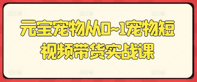 元宝宠物从0~1宠物短视频带货实战课-千创分享