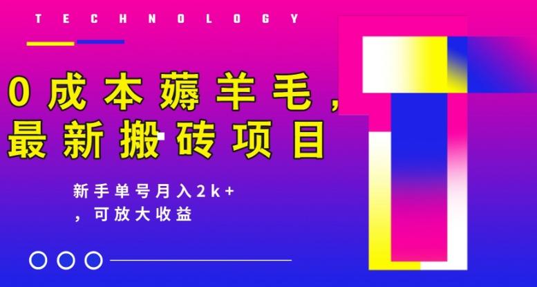 0成本薅羊毛，最新搬砖项目，新手单号月入2k+，可放大操作-千创分享