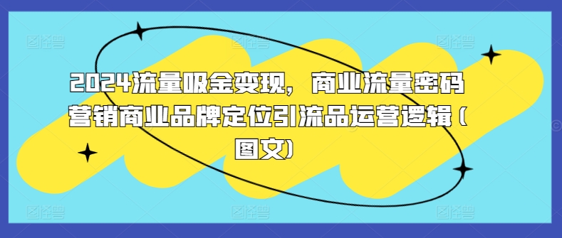 2024流量吸金变现，商业流量密码营销商业品牌定位引流品运营逻辑(图文)-千创分享