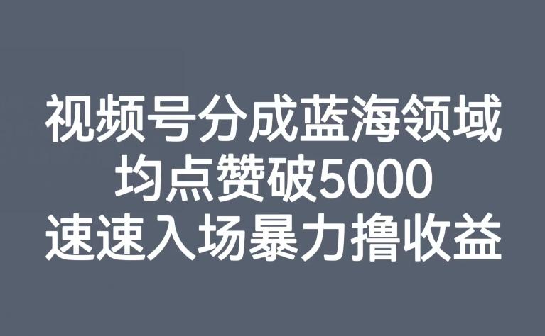 视频号分成蓝海领域，均点赞破5000，速速入场暴力撸收益-千创分享