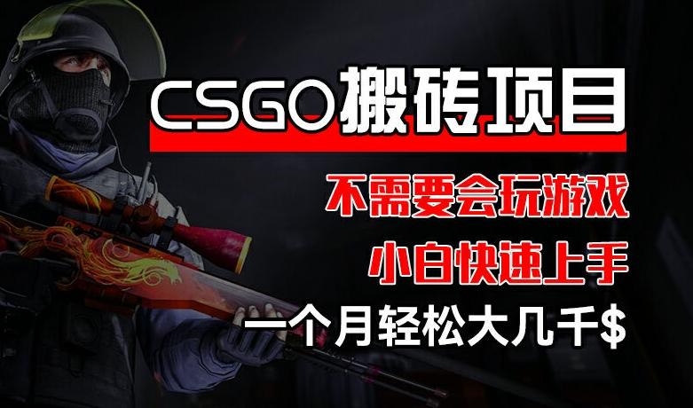 CSGO 装备搬砖项目，操作简单，不需要会玩游戏，小白也能快速上手，一个月轻松大几千【揭秘】-千创分享