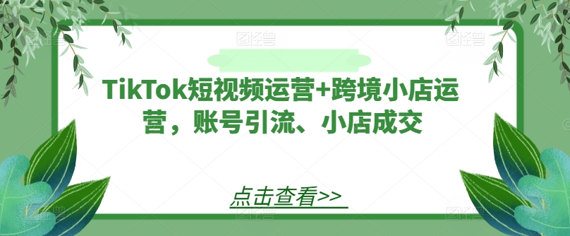 TikTok短视频运营+跨境小店运营，账号引流、小店成交-千创分享