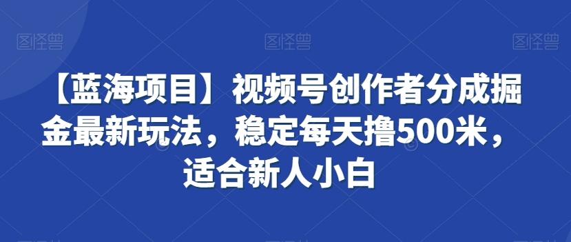 【蓝海项目】视频号创作者分成掘金最新玩法，稳定每天撸500米，适合新人小白【揭秘】-千创分享