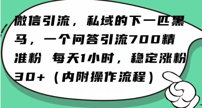 怎么搞精准创业粉？微信新赛道，每天一小时，利用Ai一个问答日引100精准粉-千创分享