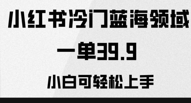 小红书冷门蓝海领域，一单39.9，小白可轻松上手-千创分享