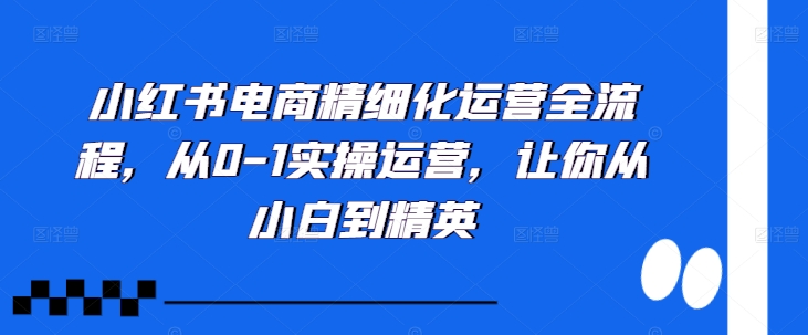 小红书电商精细化运营全流程，从0-1实操运营，让你从小白到精英-千创分享