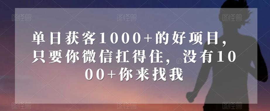 单日获客1000+的好项目，只要你微信扛得住，没有1000+你来找我【揭秘】-千创分享