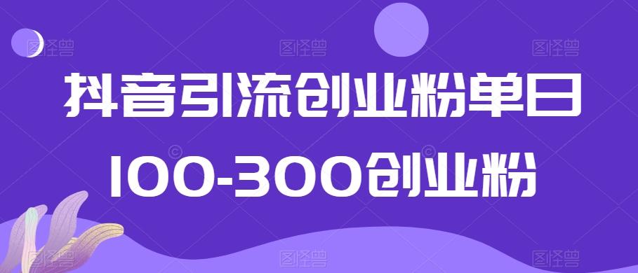 抖音引流创业粉单日100-300创业粉【揭秘】-千创分享