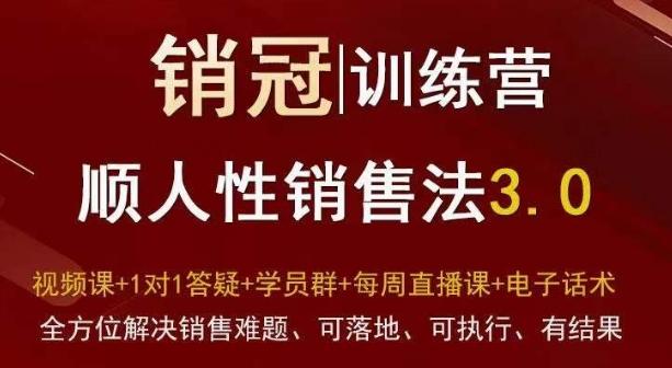 爆款！销冠训练营3.0之顺人性销售法，全方位解决销售难题、可落地、可执行、有结果-千创分享