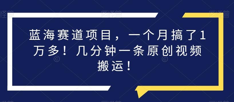 蓝海赛道项目，一个月搞了1万多！几分钟一条原创视频搬运！-千创分享