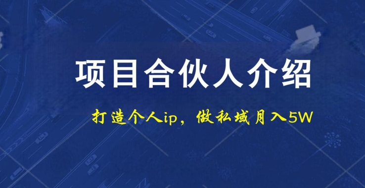 项目合伙人项目，打造个人IP，做私域月入5W，小白勿扰-千创分享