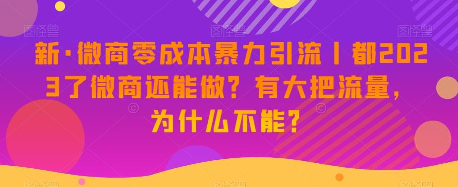 新·微商零成本暴力引流丨都2023了微商还能做？有大把流量，为什么不能？-千创分享