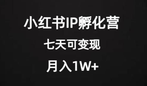 价值2000+的小红书IP孵化营项目，超级大蓝海，七天即可开始变现，稳定月入1W+-千创分享