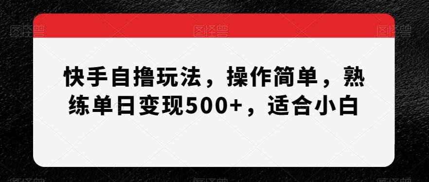 快手自撸玩法，操作简单，熟练单日变现500+，适合小白【揭秘】-千创分享