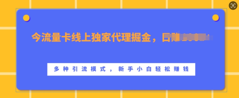 流量卡线上独家代理掘金，日入1k+ ，多种引流模式，新手小白轻松上手【揭秘】-千创分享