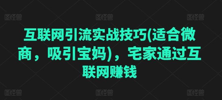 互联网引流实战技巧(适合微商，吸引宝妈)，宅家通过互联网赚钱-千创分享