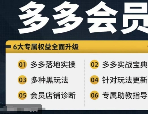 拼多多会员，拼多多实战宝典+实战落地实操，从新手到高阶内容全面覆盖-千创分享