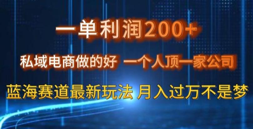 一单利润200私域电商做的好，一个人顶一家公司蓝海赛道最新玩法【揭秘】-千创分享