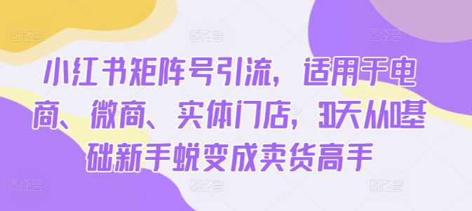 小红书矩阵号引流，适用于电商、微商、实体门店，30天从0基础新手蜕变成卖货高手-千创分享